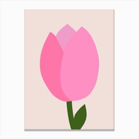 Pink Tulip Canvas Print