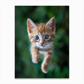 Cute Kitten Canvas Print