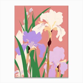 Irises Flower Big Bold Illustration 4 Canvas Print