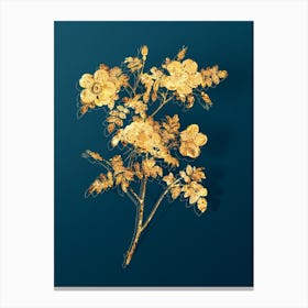 Vintage White Candolle's Rose Botanical in Gold on Teal Blue n.0328 Canvas Print