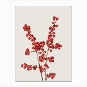 Vintage Winter Berries Canvas Print