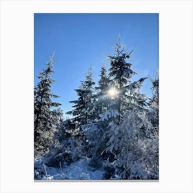 Frosted Pine Trees Glistening Under A Bright Winter Sun Their Branches Heavy With Freshly Fallen Sn (1) Leinwandbild