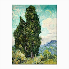 Two Cypress Trees Canvas Print