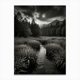 Black And White Landscape Canvas Print