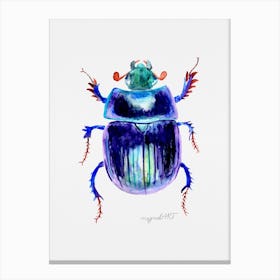 Anoplotrupes stercorosus or earth-boring dung beetle , watercolor artwork Canvas Print