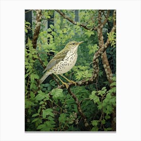Ohara Koson Inspired Bird Painting Hermit 4 Canvas Print