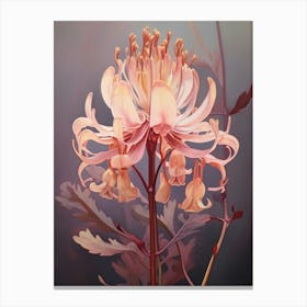 Floral Illustration Kangaroo Paw Flower Canvas Print