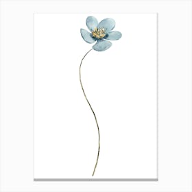 Blue Flower 8 Canvas Print