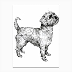 Dandie Dinmont Terrier Dog Line Sketch 1 Canvas Print