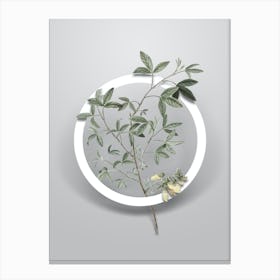 Vintage Stinking Bean Trefoil Minimalist Botanical Geometric Circle on Soft Gray Canvas Print
