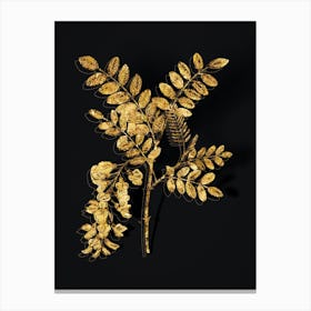 Vintage Black Locust Botanical in Gold on Black n.0340 Canvas Print