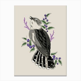 Blueberry Bird Canvas Print