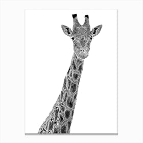 Giraffe Graphic Canvas Print