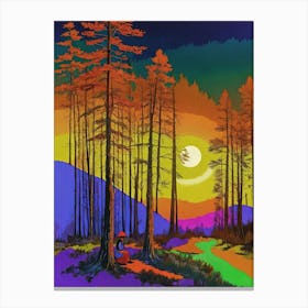 Sunset In The Woods Canvas Print