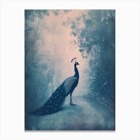 Vintage Peacock On A Path Cyanotype Inspired 4 Canvas Print