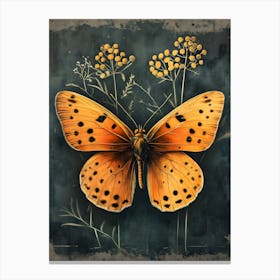 Butterfly On A Flower Canvas Print