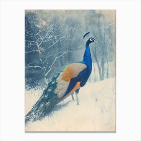 Orange & Blue Peacock In A Snow Scene 1 Canvas Print