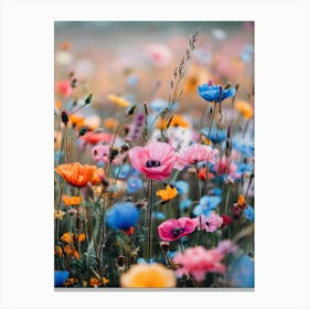 Colorful Flower Meadow Canvas Print