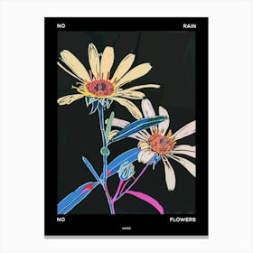 No Rain No Flowers Poster Asters 1 Canvas Print