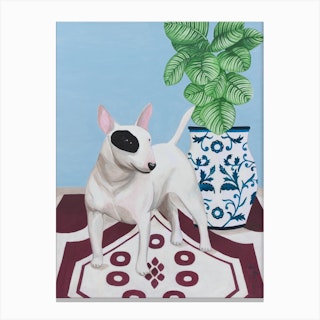 English Bull Terrier With Plant Canvas Print