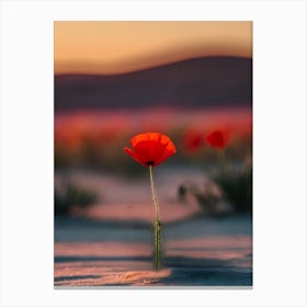 Red Poppy In The Desert Canvas Print