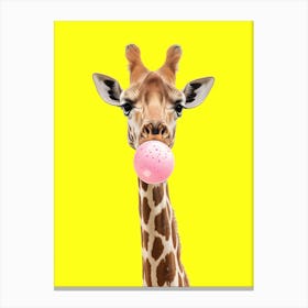 Giraffe Chewing Bubble Gum Canvas Print