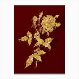 Vintage Provence Rose Botanical in Gold on Red n.0496 Canvas Print