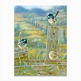 Three Birds Canvas Print