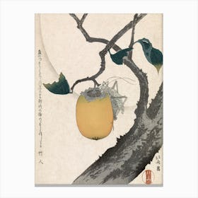 Persimmon And Grasshopper Vintage Japanese Woodcut Print, Katsushika Hokusai Canvas Print