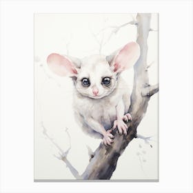 Light Watercolor Painting Of A Sugar Glider 2 Canvas Print