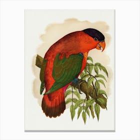 King Parrot 3 Canvas Print