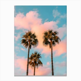 Sunset Palm Trees 3 Canvas Print