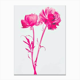 Hot Pink Everlasting Flower 1 Canvas Print