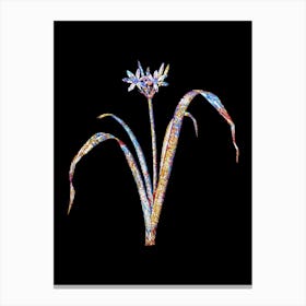 Stained Glass Small Flowered Pancratium Mosaic Botanical Illustration on Black n.0271 Canvas Print