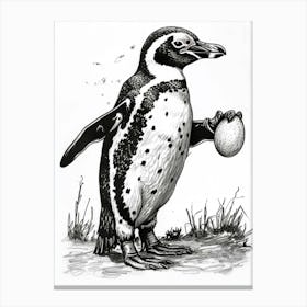African Penguin Balancing Eggs 4 Canvas Print