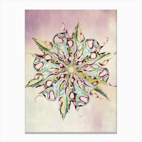 Snowflake 2 Canvas Print