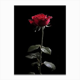 Single Red Rose On Black Background 16 Canvas Print