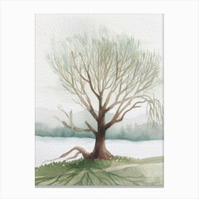 Willow Tree Atmospheric Watercolour Painting 5 Canvas Print