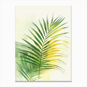 Palm Leaf Stock Videos & Royalty-Free Footage Canvas Print