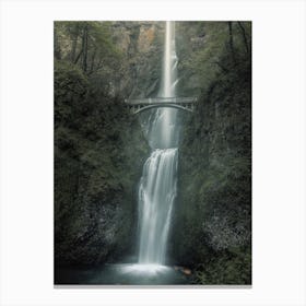 Washington Forest Waterfall Canvas Print