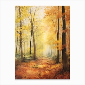 Autumn Forest Landscape The Forest Of Dean England Canvas Print