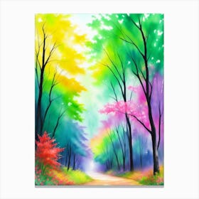 Rainbow Path Canvas Print