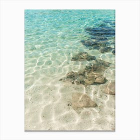 Clear Teal Water - Beach Photo Art - Croatia Travel Photography 1 Canvas Print