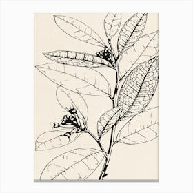 Leaf On A Branch Canvas Print