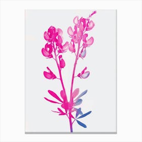 Hot Pink Bluebonnet Canvas Print