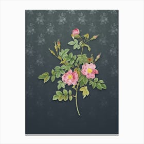 Vintage Pink Rosebush Bloom Botanical on Slate Gray Pattern n.0881 Canvas Print