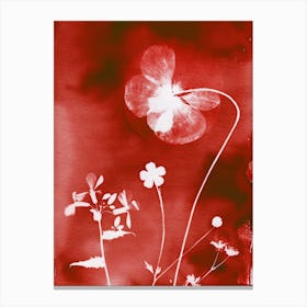 Red Poppies Canvas Print