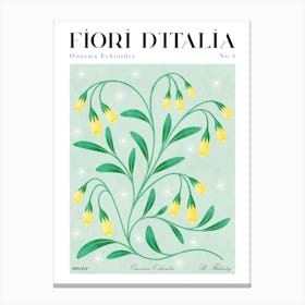 Italian Flora: Onosma Echioides / Goldendrops Canvas Print