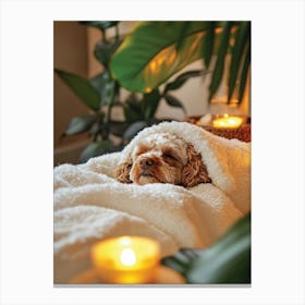 Cavapoo At The Spa Canvas Print