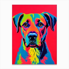 Boykin Spaniel Andy Warhol Style dog Canvas Print